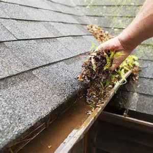 Clogged gutters can lead to water damage and costly repairs. Our gutter clearing and cleaning services will ensure that your gutters are free of debris and functioning properly. We use specialized equipment to reach high-up gutters and remove any blockages, leaving them clean and clear.