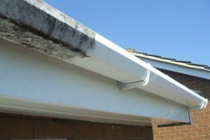 gutter-fascia-soffit-cleaning-1
