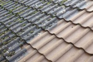 roof-clean-1170x658